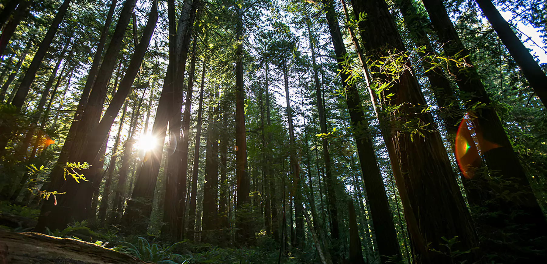 Outdoor Activities and Vichy Springs Resort | Ukiah, CA